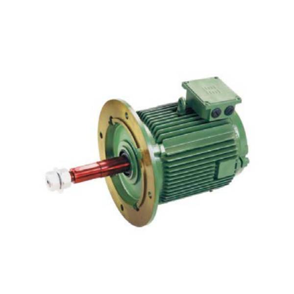 Hindustan 3HP 2.2 KW 8 POLE 750 RPM B5 FLANGE Mounting  415VV 50HZ IE2 COOLING TOWER MOTOR