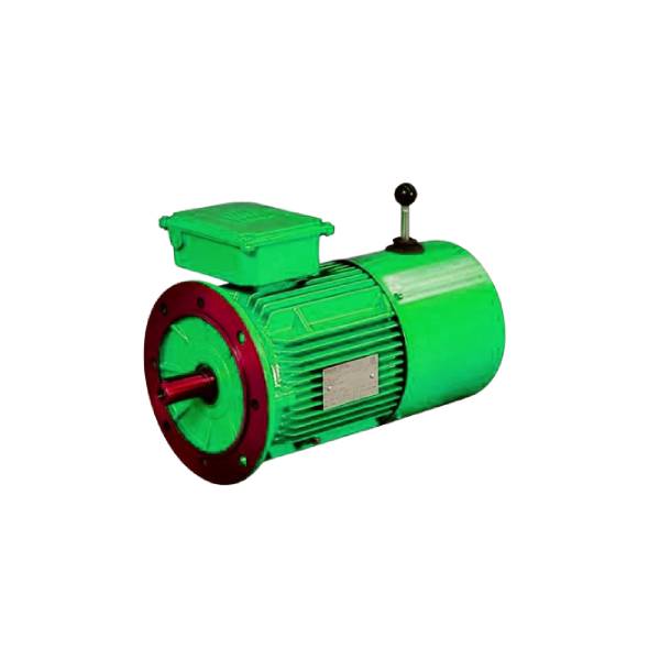 Hindustan 10 HP 7.50KW 6 POLE 960 RPM B5 FLG .415VV 50HZ Frame: 160M IE2 FDR WITH 24 VDC