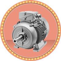 Industrial Motors