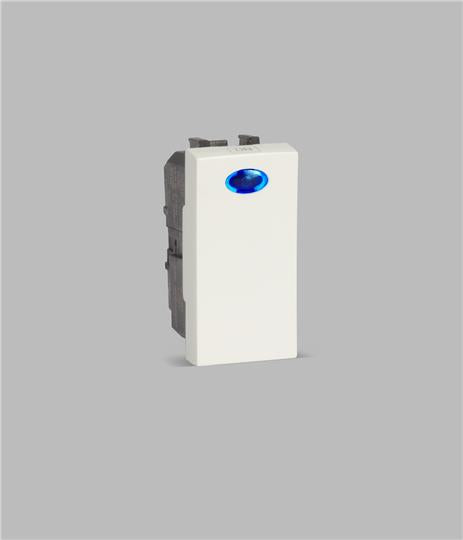 ABB IIS1161L PL 16A 1 way Switch with Ind. Ivie Silver painted 1SYK100001A1107