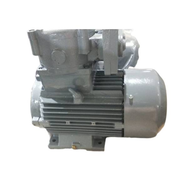 Hindustan 10.00HP 7.50KW 2 POLE 3000 RPM B3FOOT Mounting  FLAME PROOF Frame.:132M IE2 MOTOR