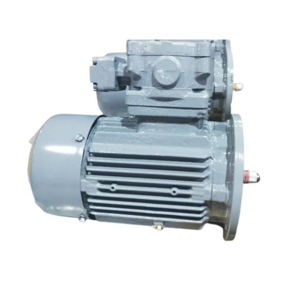Hindustan 1/1.5 HP 0.75/1.1KW 8/4 POLE 750/1500RPM B5 FLANGE Mounting  415VV 50HZ DUAL SPEED Frame-100L FLAME PROOF MOTOR